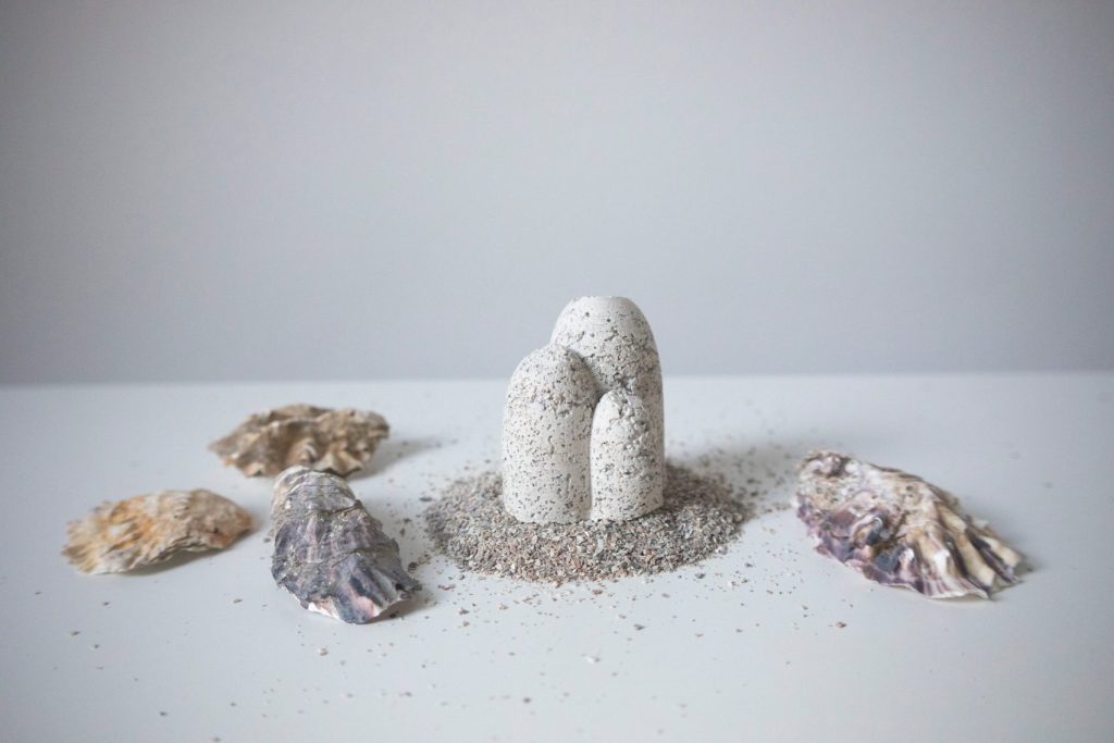 a small artificial reef surrounded by seashells