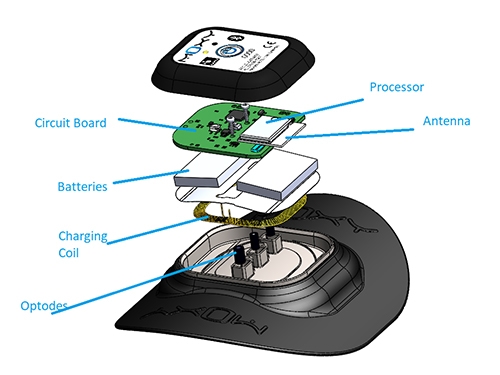Exploded view diagram of Moxy Monitor sensor showing internal components including circuit board, battery, antenna, and optical sensors